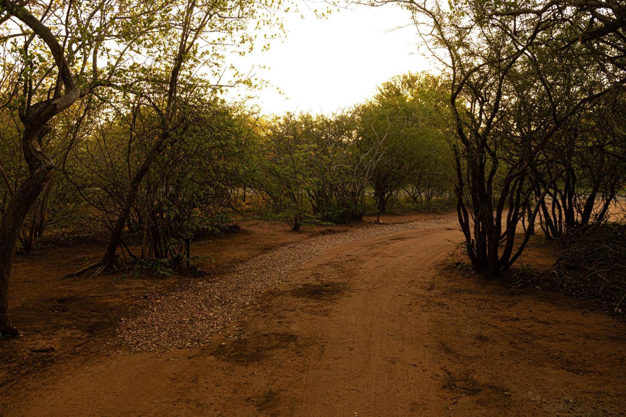Bushveld Jewel - Close To Kruger * Hoedspruit